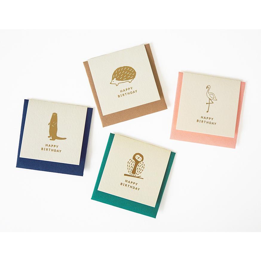 MATOKA（マトカ） Break Time ブレイクタイム ミニカード｜メール便