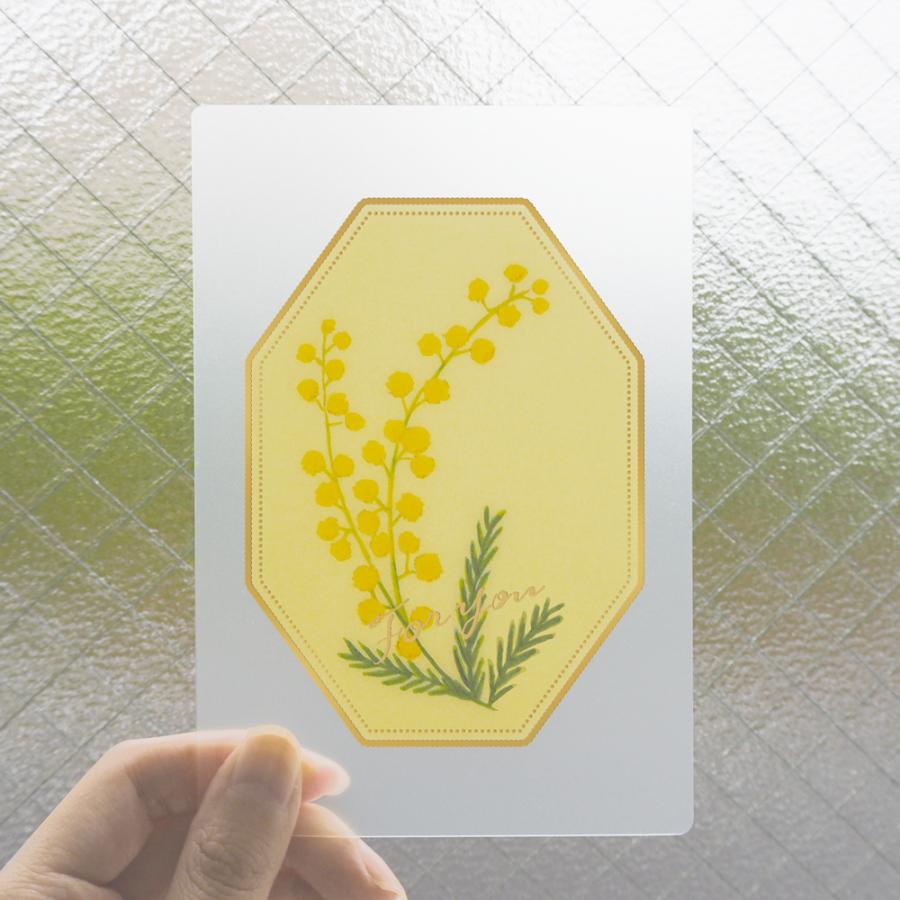 MATOKA（マトカ） VERRE ヴェール クリアグリーティングカード｜誕生日