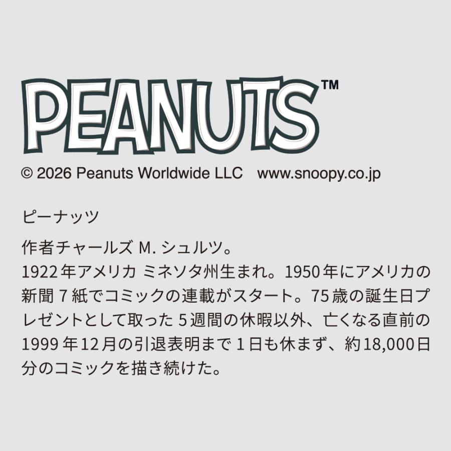 PEANUTS PEANUTS NEON LIGHT（House）｜スヌーピー ウッドストック