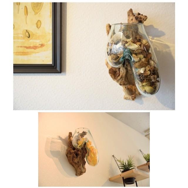 壁掛け ガラスオブジェ 流木 置物 ガラス フラワーベース フェイクグリーン 玄関 インテリア 西海岸風 テラリウム サーフ系 サーフインテイリア Adm310 西海岸雑貨のエルアンドシー 通販 Yahoo ショッピング
