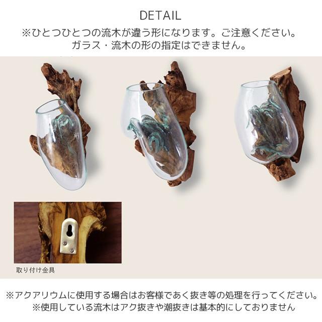 壁掛け ガラスオブジェ 流木 置物 ガラス フラワーベース フェイクグリーン 玄関 インテリア 西海岸風 テラリウム サーフ系 サーフインテイリア Adm310 西海岸雑貨のエルアンドシー 通販 Yahoo ショッピング