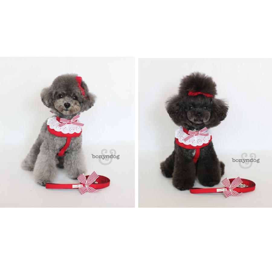 美品】韓国製boondog ハーネス＆プレイリードセット SM 美品】韓国製