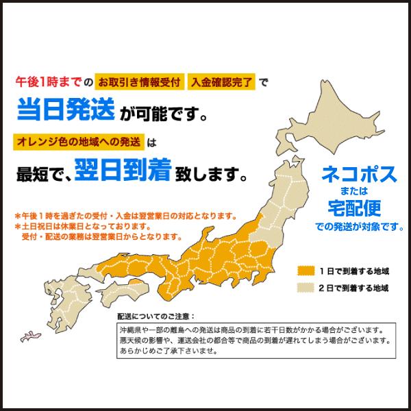 日章旗 旭日旗 75 50mm レッド 赤色 カッティング ステッカー カスタム ステッカー 1枚 車 バイク トラック 送料0円 F10r Ele Store 通販 Yahoo ショッピング