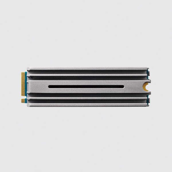 ELECOM PS5対応 M.2 PCIe接続 内蔵SSD PS5 の限られたスペースの ELECOM PS5対応 M.2 PCIe接続 内蔵SSD PS5 の限られたスペースの