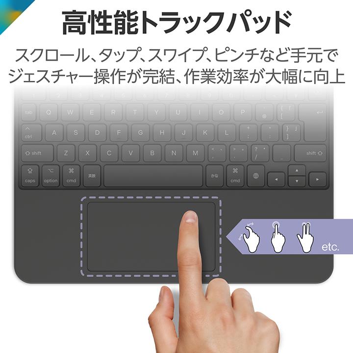 ELECOM（エレコム） iPad(第9 87世代)専用 Touch Book for iPad 9th