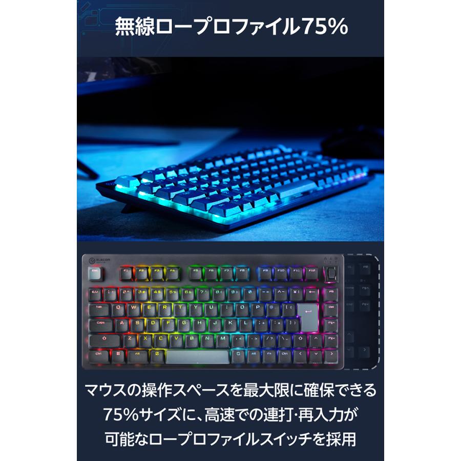 ELECOM（エレコム） V custom VK520LL ロープロ 75％サイズ 有線 2.4