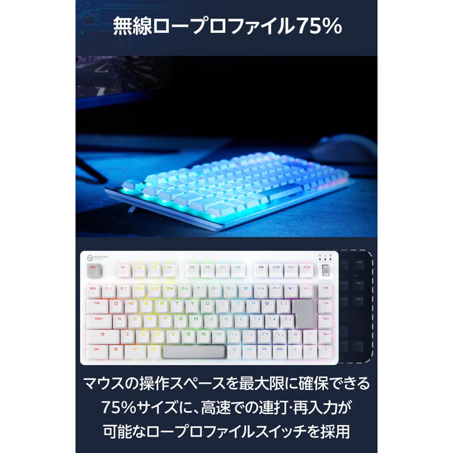 ELECOM（エレコム） V custom VK520LL ロープロ 75％サイズ 有線 2.4