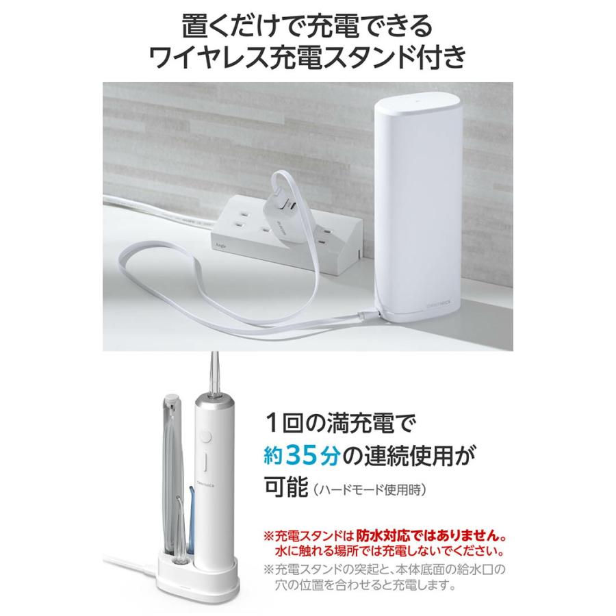 ELECOM（エレコム） デンタルウォッシャー DENTNICS 旅行出張