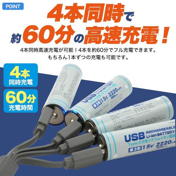 リチウムイオン充電池 充電 リチウムイオン電池  単三 単3 単3形  単三電池 単3電池 単三充電池 電池単三 単3充電池 充電池単三 電池単3 電池単三 単3型電池 aa | ブランド登録なし | 03