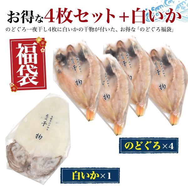 のどぐろ 4枚 + 白いか セット 訳あり アカムツ 干物 | 日本海産 魚 ひもの お取り寄せ グルメ 高級 ギフト プレゼント お祝い 誕生日 お中元 お歳暮 のし対応 | ブランド登録なし | 01