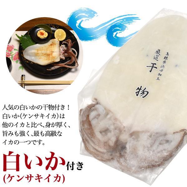 のどぐろ 4枚 + 白いか セット 訳あり アカムツ 干物 | 日本海産 魚 ひもの お取り寄せ グルメ 高級 ギフト プレゼント お祝い 誕生日 お中元 お歳暮 のし対応 | ブランド登録なし | 05
