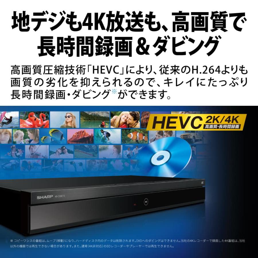 シャープ 1TB 2チューナー ブルーレイレコーダー 4B-C10EW3 4K