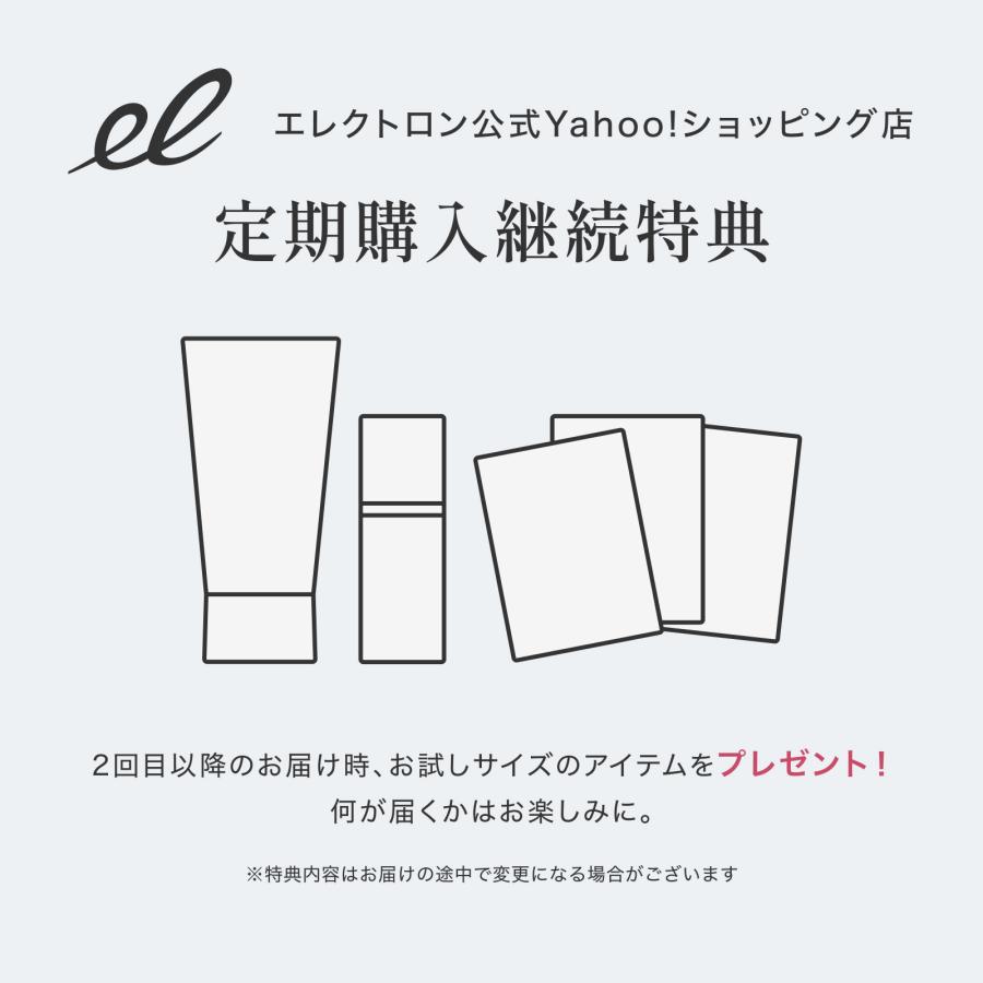 ELECTRON（エレクトロン） エレクトロン公式 2本組 デンキバリブラシ