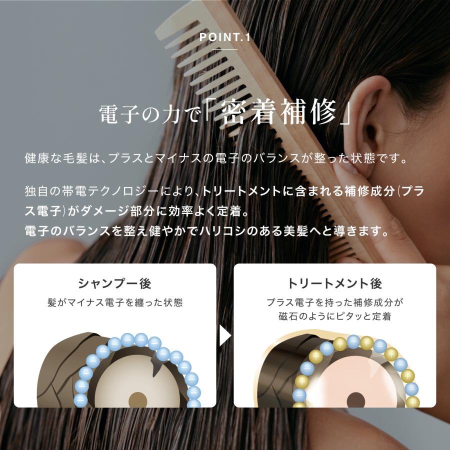 エレクトロン公式  シンクロトリートメント 300g(ボトルタイプ)  スカルプケア ヘアケア うるおい 保水 保湿 まとまり 活性電子水 電気バリブラシ | ELECTRON（コスメ、美容、ヘアケア） | 05
