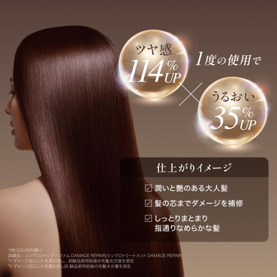 エレクトロン公式 シンクロトリートメント DAMAGE REPAIR 300g(ボトルタイプ) 女性用 ダメージ補修 ヘアケア ツヤ まとまる 電気バリブラシ | ELECTRON（コスメ、美容、ヘアケア） | 05