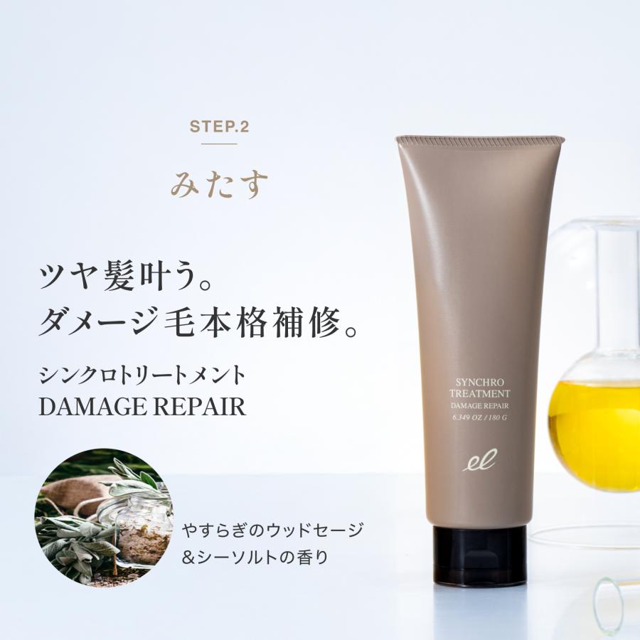 エレクトロン公式 シンクロトリートメント DAMAGE REPAIR 300g(ボトルタイプ) 女性用 ダメージ補修 ヘアケア ツヤ まとまる 電気バリブラシ | ELECTRON（コスメ、美容、ヘアケア） | 06