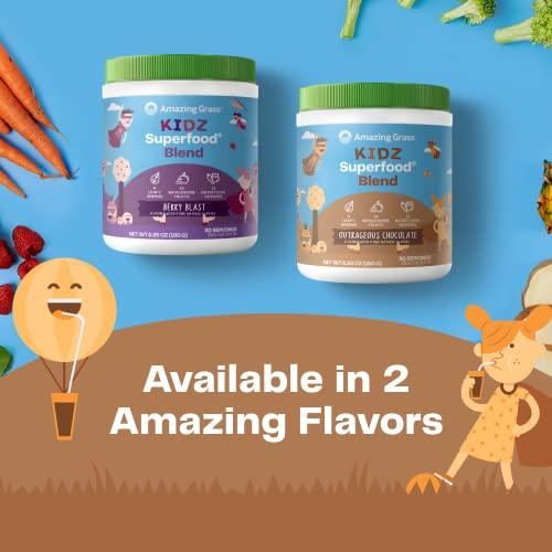 直営の通販サイトです Amazing Grass - Kidz SuperFoodの粉の 30 サービング非道なチョコレート味 - 6.5ポンド