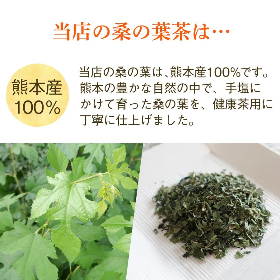 激安売品 国産 熊本県産 桑の葉茶 100g×10袋 (1kg) 健康茶 ノンカフェイン 無添加 川本屋茶舗