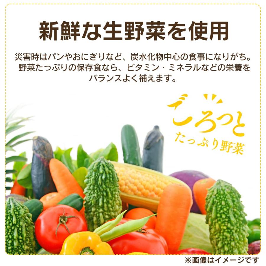 アイリスオーヤマ きのこ汁 パウチ 250g ×36個 非常食 保存食 長期保存 (製造から) 5年｜eleftheria-shop｜04