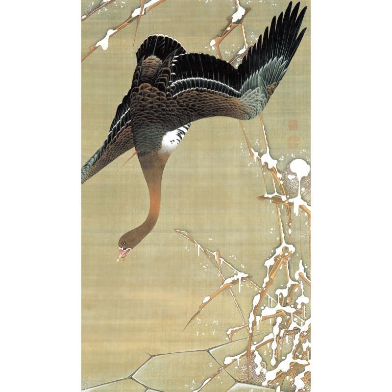 伊藤若冲 動植綵絵 芦雁図 高級仕様 額 美術品 作品 複製画 -