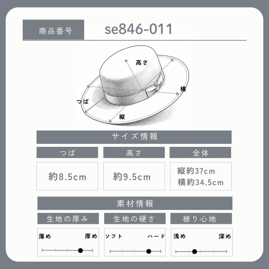 STETSON（ステットソン） メンズ アーミッシュハット ハット 記念