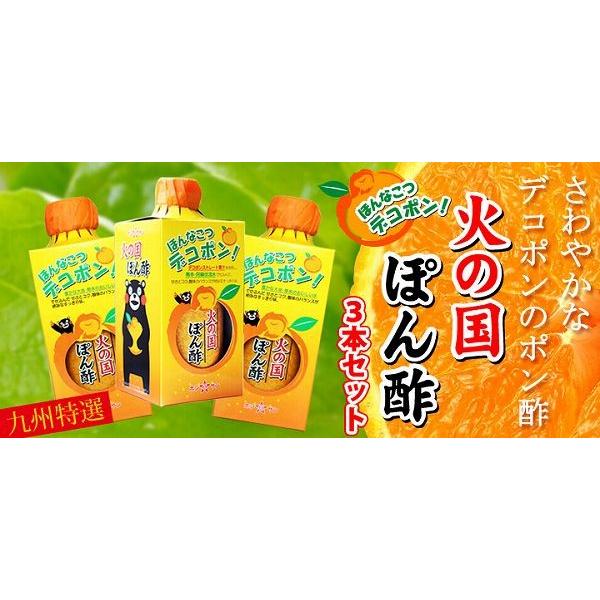 デコポン！火の国ぽん酢3本セット 熊本 明治39年創業ホシサン くまモンパッケージ入り 調味料ぽんず 雑誌掲載｜elehome｜03