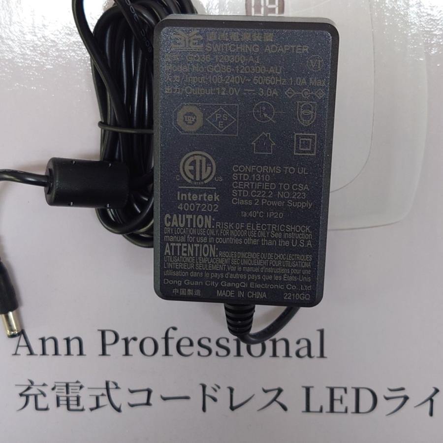 Ann Professional 充電式コードレスLED ネイル ライト ネイルライト Ann Professional 充電式コードレスLEDライト 1年