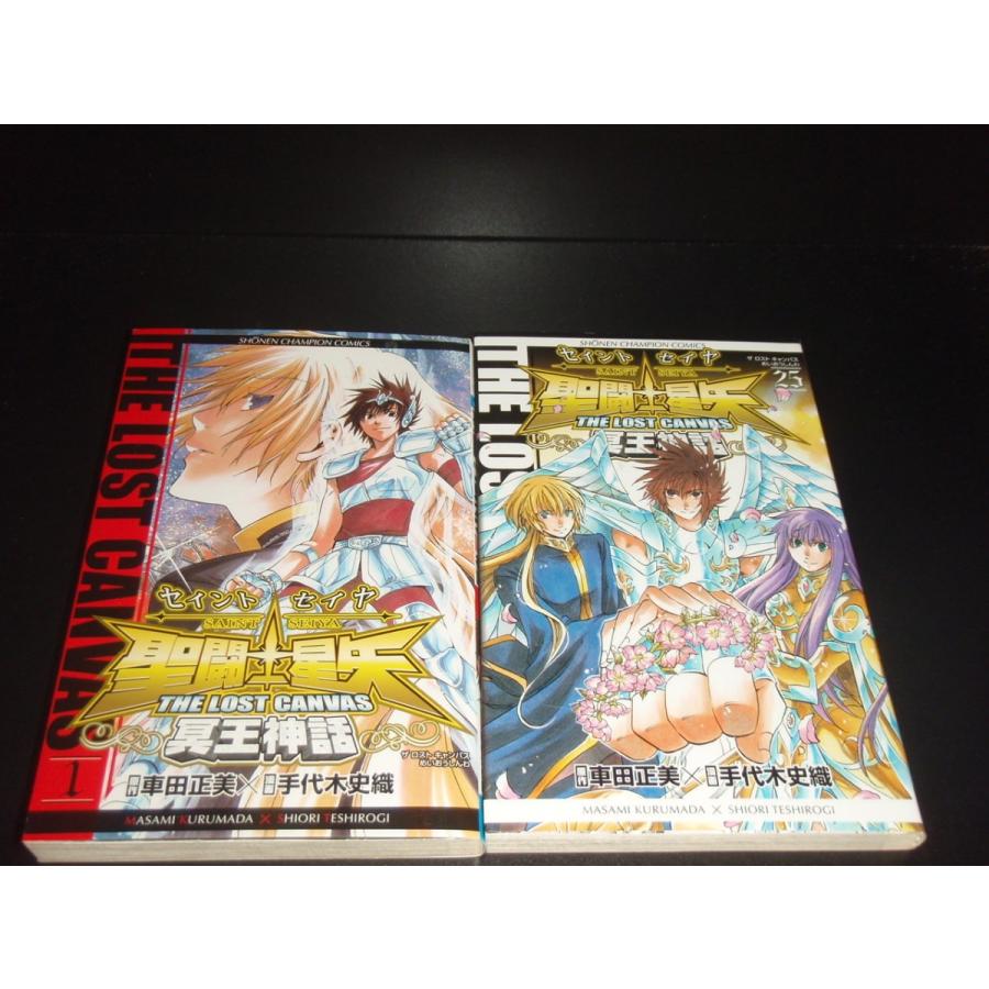 聖闘士星矢 THE LOST CANVAS 冥王神話 全25巻 中古コミック 漫画 聖闘士星矢 THE LOST CANVAS 冥王神話 全25巻 中古コミック 漫画