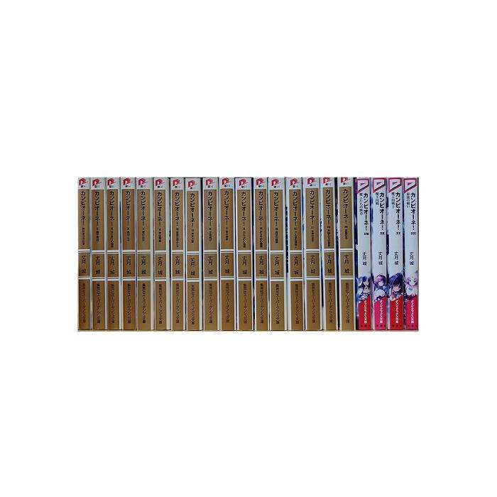 送料無料 カンピオーネ 1-21巻 丈月城 中古ライトノベル ラノベ 小説
