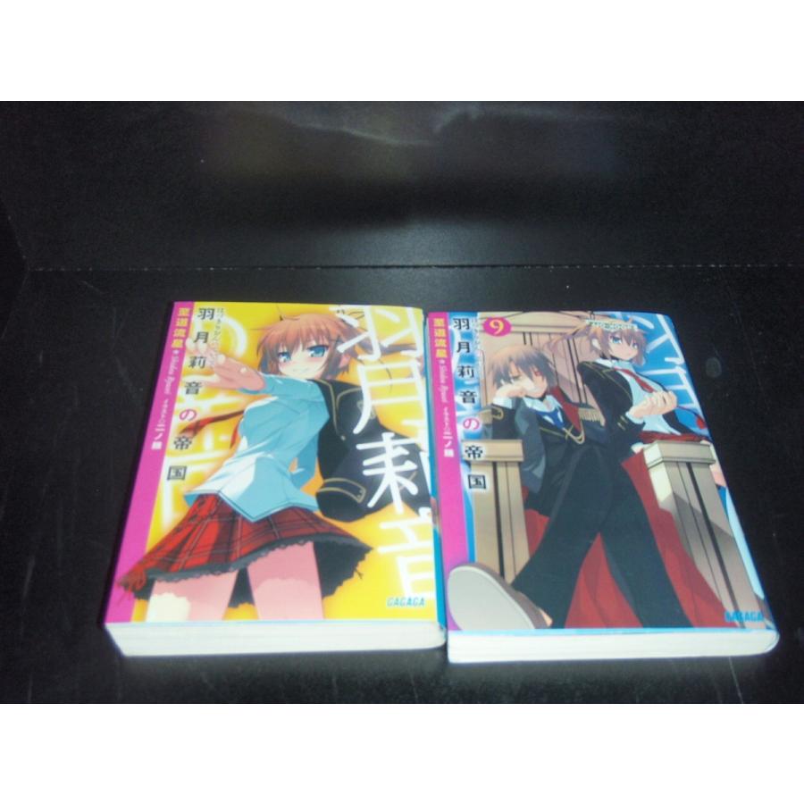 送料無料 羽月莉音の帝国 全10巻 至道流星 中古ライトノベル ラノベ