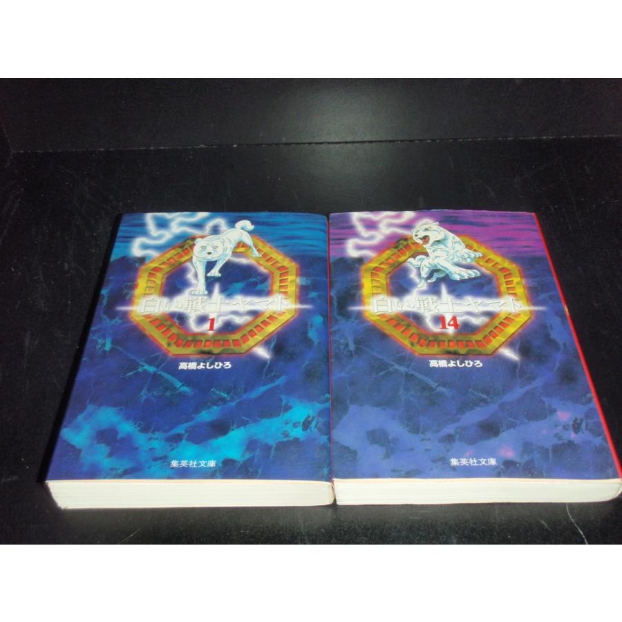 白い戦士ヤマト全巻セット　その他10冊 文庫版 白い戦士ヤマト 全14巻 高橋よしひろ 中古コミック 漫画