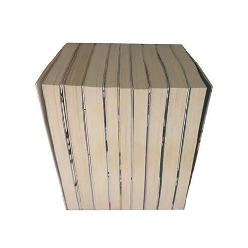 送料無料 IS インフィニット・ストラトス 1-9巻 弓弦イズル オーバー