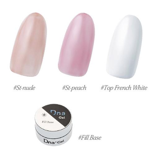 Dna Gel レネDnaコラボセットA フィルベース 4g+Renee レネ カラー