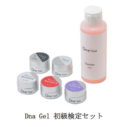 ディーナジェル Dna Gel 初級検定セット JNAジェルネイル技能検定初級