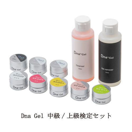 ディーナジェル Dna Gel 中級/上級鑑査仕掛ける JNAジェルネイル手なみ鑑査 中級用 上級用 スーパーフィットベース ビルダートップ 新品 貨物輸送無料 コスメ、美容、ヘアケア-セット