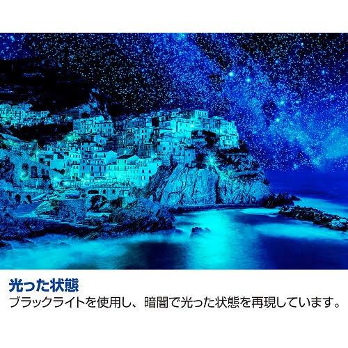 ビバリー（Bevery） 1000ピース ジグソーパズル 星空のチンクエテッレ