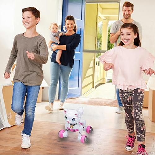 キヨラカ ロボット猫 かまってにゃん RN-N01 猫型ロボット おもちゃ 動く 歌う 鳴く ダンス 自動 電動 知育玩具 電子ペット リアル 新品 送料無料の画像