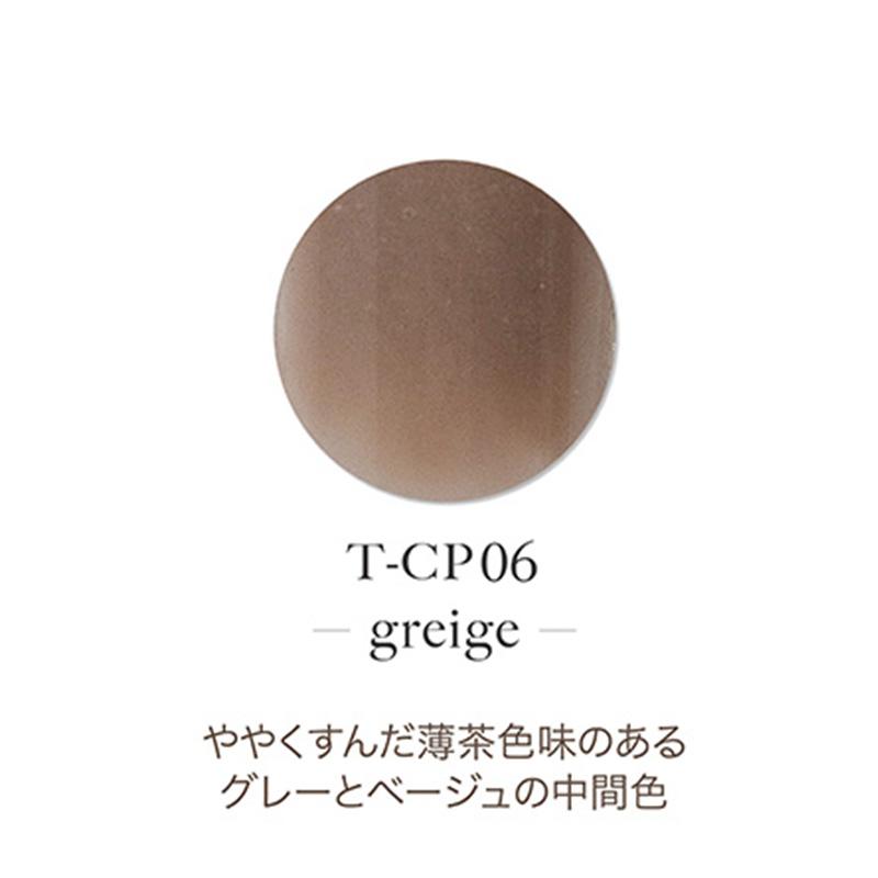 TOY'S アクリルカラーパウダーセット TOY＇s x INITY アクリルカラーパウダー ラフィーム