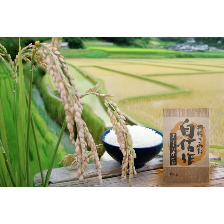ご注文から4-6日で発送予定】 コシヒカリ 福井県産 2025年産 新米 精米