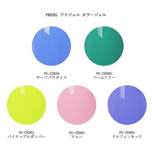 プリジェル カラージェル PG-CE859 PG-CE860 PG-CE862 PG-CE863 PG