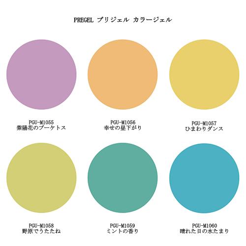 PREGEL プリジェル ミューズ カラージェル 3g 6色からご選択 PGU-M1055