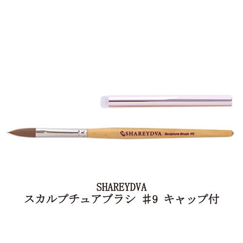 SHAREYDVAシャレドワ スカルプチュアブラシ NO.8 【公式ショッピング