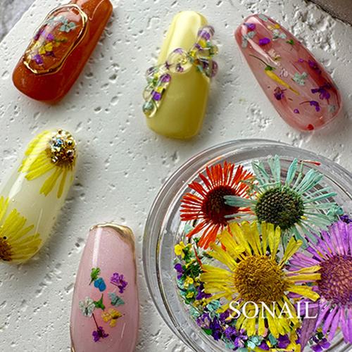 ソネイル SONAIL ドライフラワーネイル 2g 2種類からご選択 花
