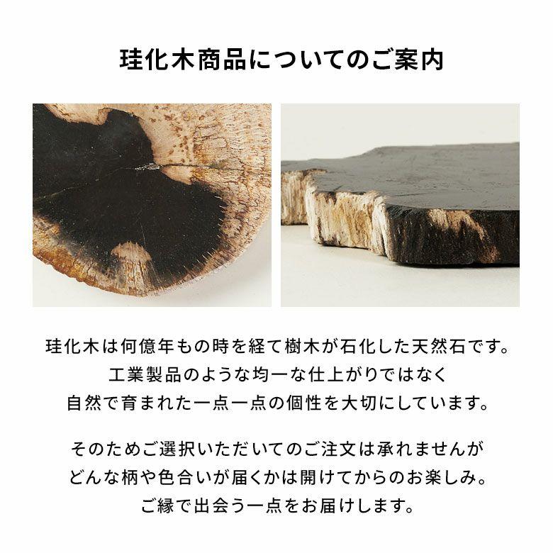 トレー 木化石 トレイ デコレーショントレイ おしゃれ アクセサリートレイ 1枚 珪化木 ウッド 置物 飾り 小物置き 北欧 リゾート インテリア 西海岸 1-14317 | ELEMENTS（インテリア） | 14