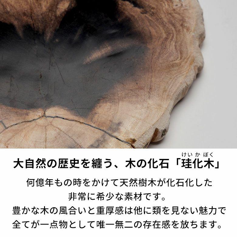 トレー 木化石 トレイ デコレーショントレイ おしゃれ アクセサリートレイ 1枚 珪化木 ウッド 置物 飾り 小物置き 北欧 リゾート インテリア 西海岸 1-14317 | ELEMENTS（インテリア） | 09