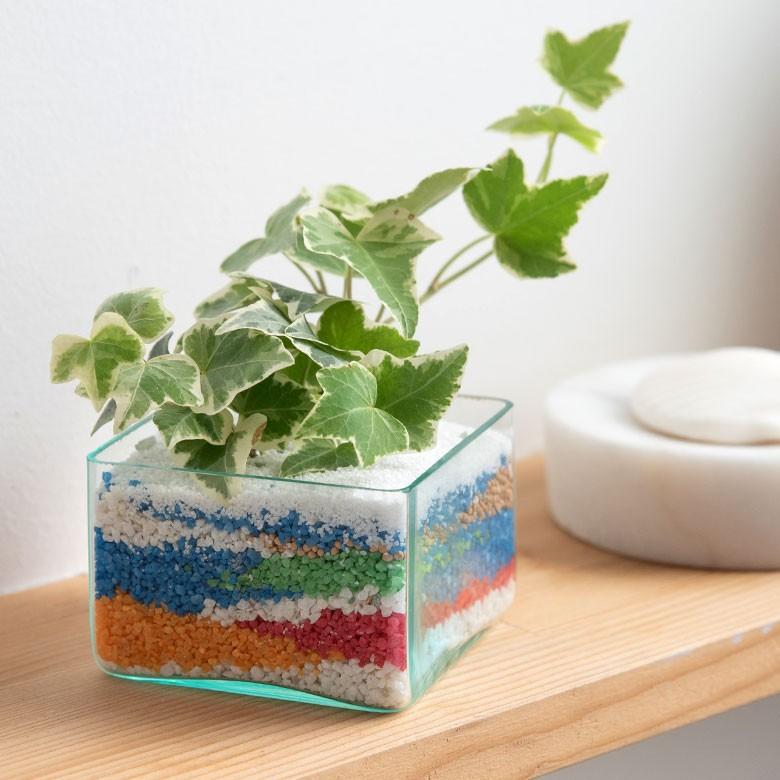 ガラスケース 小物入れ ディスプレイ 収納 アクセサリー入れ