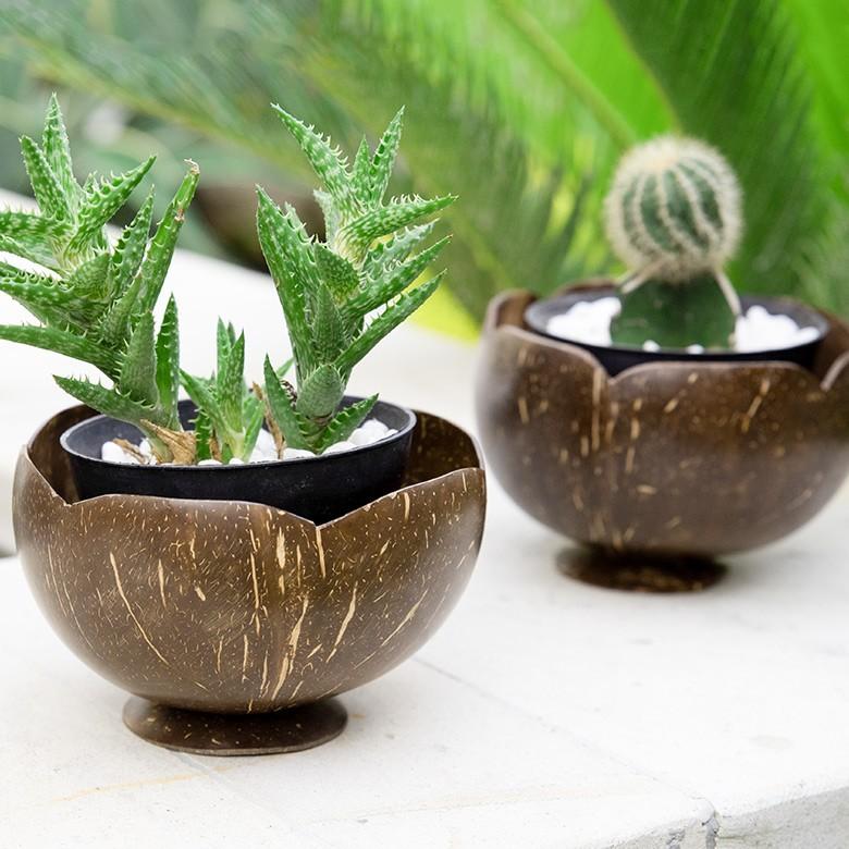 ボウル デコレーショントレー 小物入れ 置物 オブジェ 収納 卓上 ココナッツウッド アジアン バリ雑貨 おしゃれ 10359 | ブランド登録なし | 03