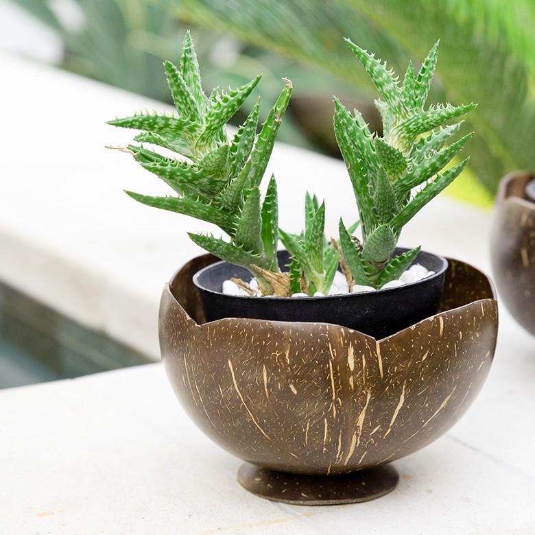 ボウル デコレーショントレー 小物入れ 置物 オブジェ 収納 卓上 ココナッツウッド アジアン バリ雑貨 おしゃれ 10359 | ブランド登録なし | 08