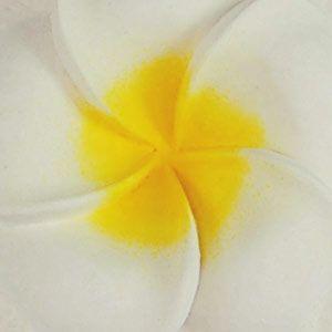 アジアン雑貨 立体的なプルメリアが可愛いアジアンレリーフ シングルタイプM アジア工房 10545 | ブランド登録なし | 02