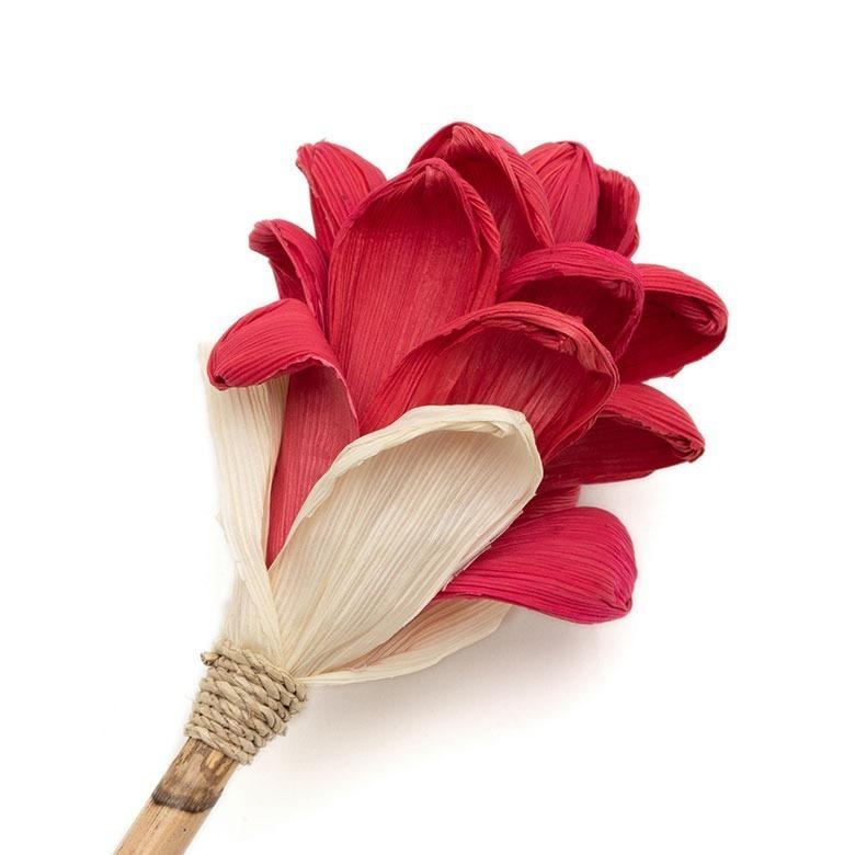 フランソワ　ピロ　赤と白の花　カーボンランダム　現代アート　一点もの フランソワ ピロ 赤と白の花 カーボンランダム 現代アート 一点もの